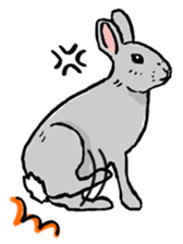 Rabbit Behavior(English ver.) sticker #905356