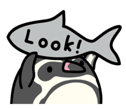 Humboldt Penguin and Gentoo penguin sticker #905399