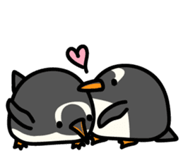 Humboldt Penguin and Gentoo penguin sticker #905407