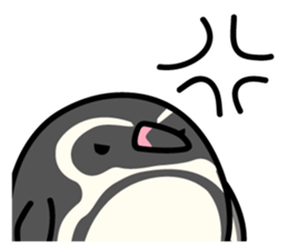 Humboldt Penguin and Gentoo penguin sticker #905408