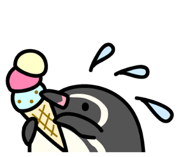Humboldt Penguin and Gentoo penguin sticker #905410