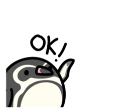 Humboldt Penguin and Gentoo penguin sticker #905414