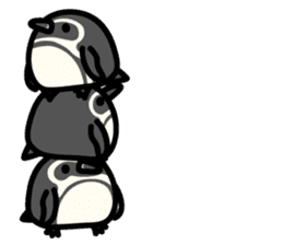 Humboldt Penguin and Gentoo penguin sticker #905415