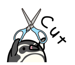 Humboldt Penguin and Gentoo penguin sticker #905416