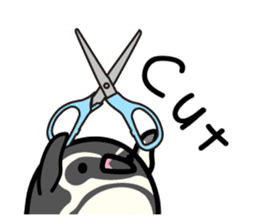 Humboldt Penguin and Gentoo penguin sticker #905416