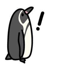 Humboldt Penguin and Gentoo penguin sticker #905421