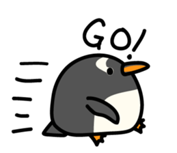 Humboldt Penguin and Gentoo penguin sticker #905423