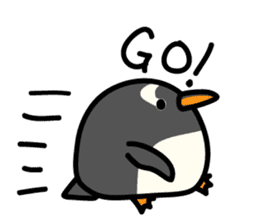 Humboldt Penguin and Gentoo penguin sticker #905423