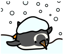Humboldt Penguin and Gentoo penguin sticker #905424