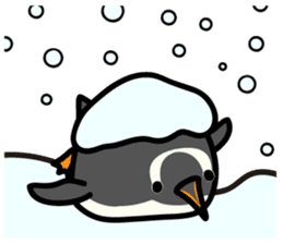 Humboldt Penguin and Gentoo penguin sticker #905424