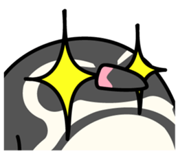 Humboldt Penguin and Gentoo penguin sticker #905426