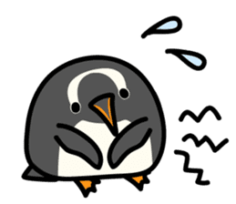 Humboldt Penguin and Gentoo penguin sticker #905427