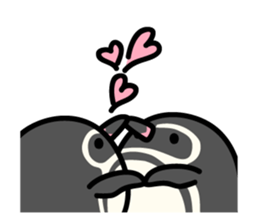 Humboldt Penguin and Gentoo penguin sticker #905430