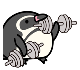 Humboldt Penguin and Gentoo penguin sticker #905431