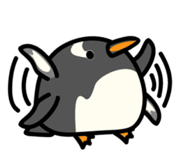 Humboldt Penguin and Gentoo penguin sticker #905433