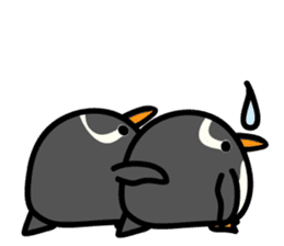 Humboldt Penguin and Gentoo penguin sticker #905434