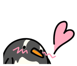 Humboldt Penguin and Gentoo penguin sticker #905437