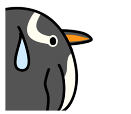 Humboldt Penguin and Gentoo penguin sticker #905438