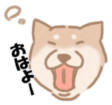 Shiba Inu ! sticker #910490