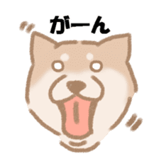 Shiba Inu ! sticker #910494