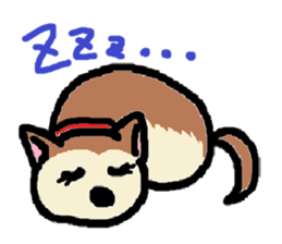 Dog like a cat like a dog sticker #912724