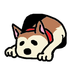 Dog like a cat like a dog sticker #912737