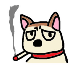 Dog like a cat like a dog sticker #912748