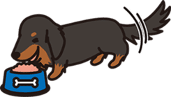 Jupi & Duchshund Buddies sticker #913867