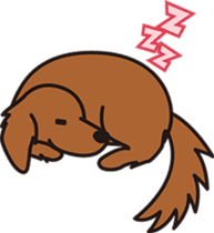 Jupi & Duchshund Buddies sticker #913870