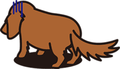 Jupi & Duchshund Buddies sticker #913875