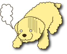 Toy Poodle sticker #915932
