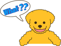 Toy Poodle sticker #915934