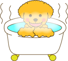 Toy Poodle sticker #915947