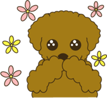 Toy Poodle sticker #915948