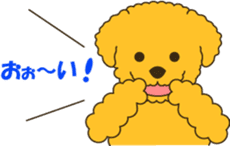 Toy Poodle sticker #915953