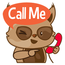 Taro, the funny racoon sticker #916274