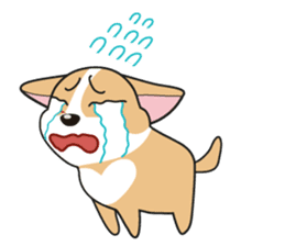 Cozzo, the happy welsh corgi dog sticker #916289