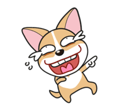 Cozzo, the happy welsh corgi dog sticker #916315