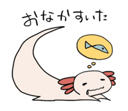 axolotl Daily ed sticker #916370