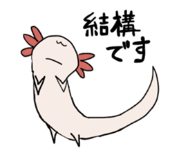 axolotl Daily ed sticker #916376