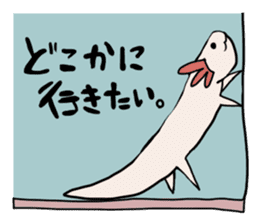 axolotl Daily ed sticker #916381