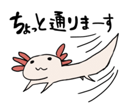 axolotl Daily ed sticker #916383
