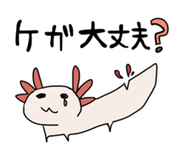 axolotl Daily ed sticker #916386