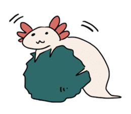 axolotl Daily ed sticker #916387