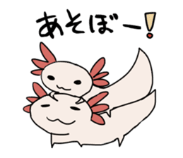 axolotl Daily ed sticker #916395