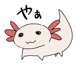 axolotl Daily ed sticker #916397