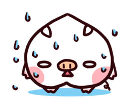 Momobuta-chan : Daily use series sticker #917312