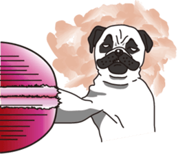 I love macaron sticker #918327