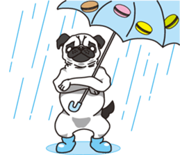 I love macaron sticker #918345