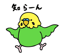 Japanese dialect bird sticker #919140